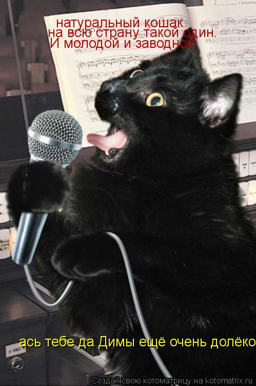 Котоматрица: натуральный кошак И молодой и заводной, на всю страну такой один. ась тебе да Димы ещё очень долёко