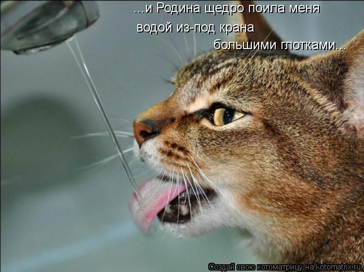 Котоматрица: ...и Родина щедро поила меня водой из-под крана большими глотками...