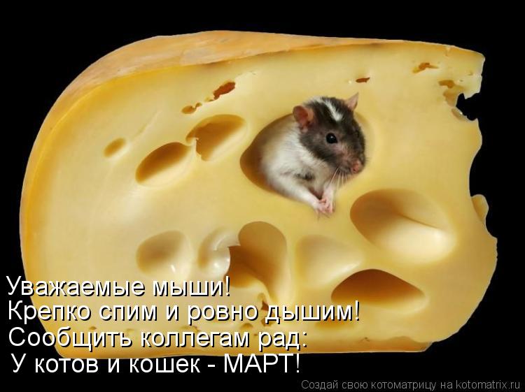 Котоматрица: Уважаемые мыши! Крепко спим и ровно дышим! Сообщить коллегам рад: У котов и кошек - МАРТ!