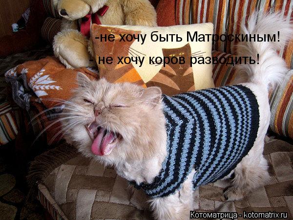 Котоматрица: -не хочу быть Матроскиным! - не хочу коров разводить!