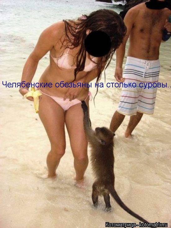 Котоматрица: Челябенские обезьяны на столько суровы....