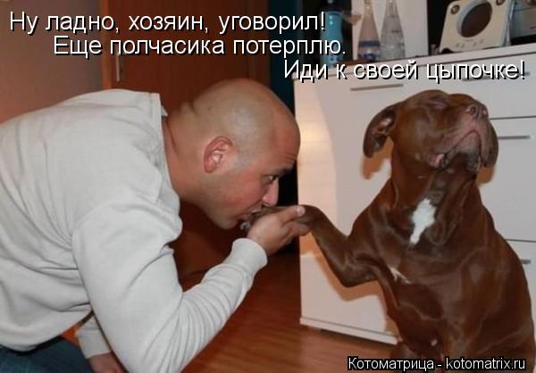 Ну ладно, хозяин, уговорил! Еще полчасика потерплю. Иди к своей цыпочке!... Котоматрица: Ну ладно, хозяин, уговорил! Еще полчасика потерплю. Иди к своей цыпочке!