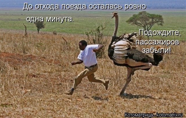 Котоматрица: - Подождите, пассажиров забыли! одна минута. До отхода поезда осталась ровно