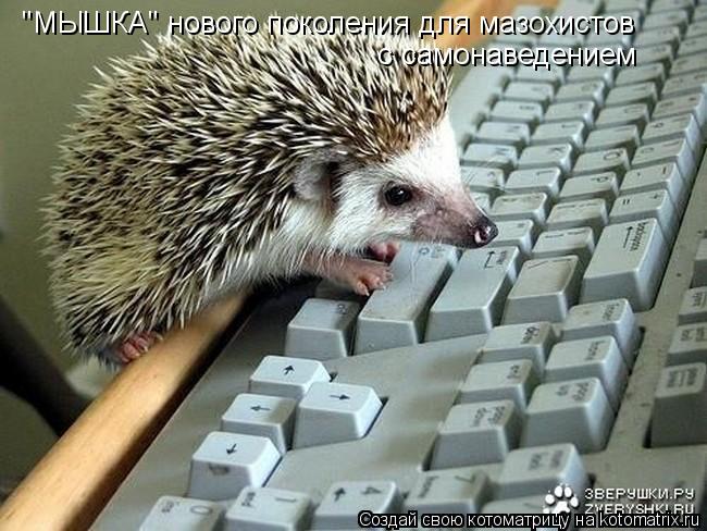 Котоматрица: "МЫШКА" нового поколения для мазохистов с самонаведением