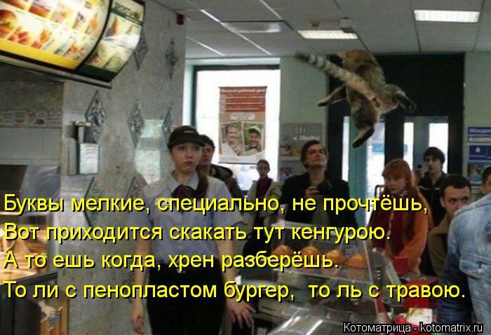 Котоматрица: Буквы мелкие, специально, не прочтёшь, Вот приходится скакать тут кенгурою. А то ешь когда, хрен разберёшь. То ли с пенопластом бургер,  то ль 
