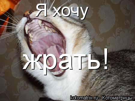 Котоматрица: Я хочу  жрать!