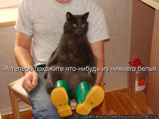 Котоматрица: -А теперь покажите что-нибудь из нижнего белья.