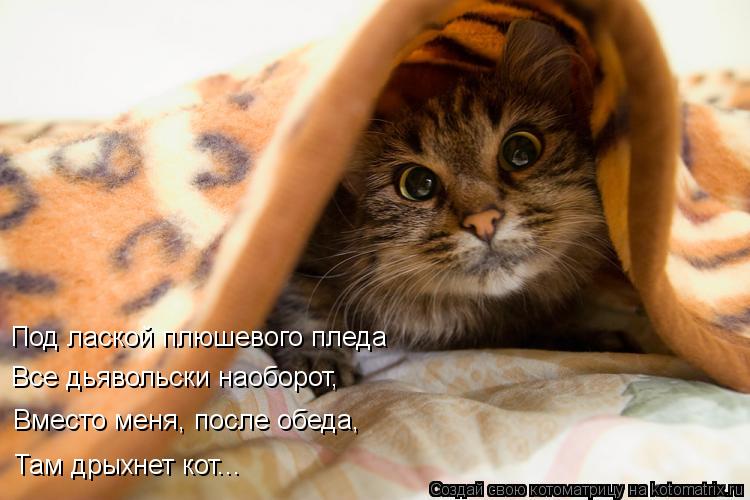 Под лаской плюшевого пледа Все дьявольски наоборот, Вместо меня, после обеда, Там дрыхнет кот...... Котоматрица: Под лаской плюшевого пледа Все дьявольски наоборот, Вместо меня, после обеда, Там дрыхнет кот...