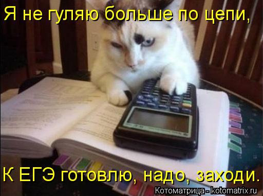 Котоматрица: Я не гуляю больше по цепи, К ЕГЭ готовлю, надо, заходи.