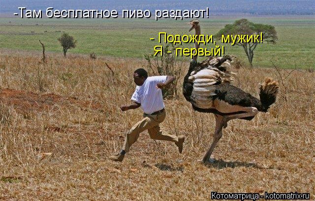 Котоматрица: -Там бесплатное пиво раздают! - Подожди, мужик! Я - первый!