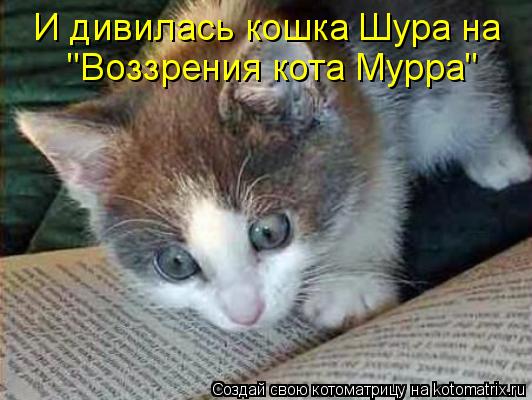 Котоматрица: И дивилась кошка Шура на "Воззрения кота Мурра"