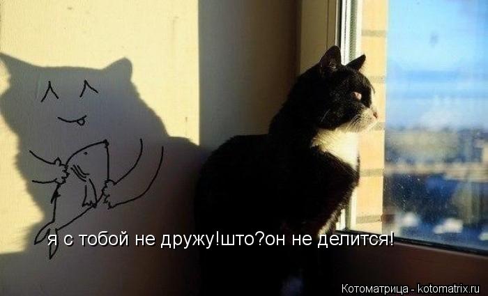 я с тобой не дружу!што?он не делится!... Котоматрица: я с тобой не дружу!што?он не делится!