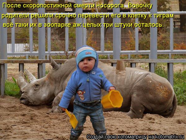 Котоматрица: После скоропостижной смерти носорога, Вовочку  родители решили срочно перевести его в клетку к тиграм всё таки их в зоопарке аж целых три ш
