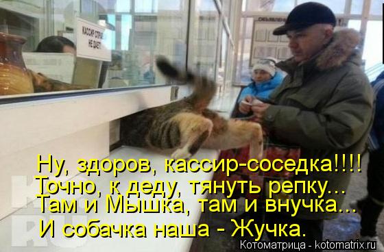 Котоматрица: Ну, здоров, кассир-соседка!!!! Там и Мышка, там и внучка... Точно, к деду, тянуть репку... И собачка наша - Жучка.