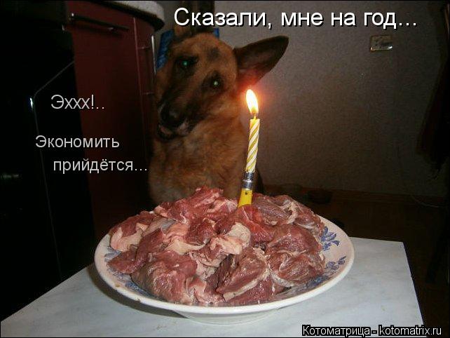 Котоматрица: Сказали, мне на год... Эххх!.. Экономить  прийдётся...