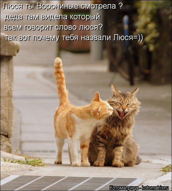 Котоматрица: Ворониные смотрела ? Люся ты Ворониные смотрела ? деда там видела который всем говорит слово люся? так вот почему тебя назвали Люся=))