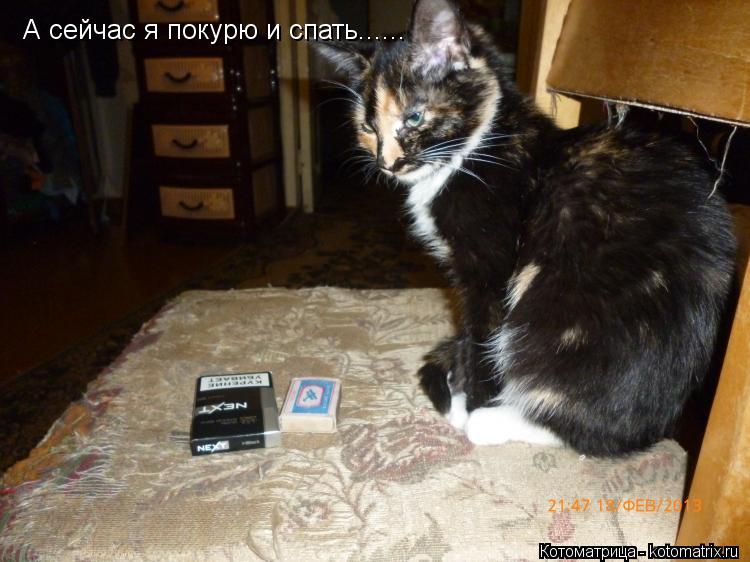 Котоматрица: А сейчас я покурю и спать......