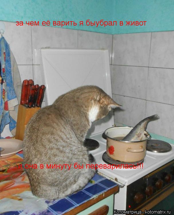 за чем её варить я быубрал в живот и она в минуту бы переварилась!!!... Котоматрица: за чем её варить я быубрал в живот и она в минуту бы переварилась!!!