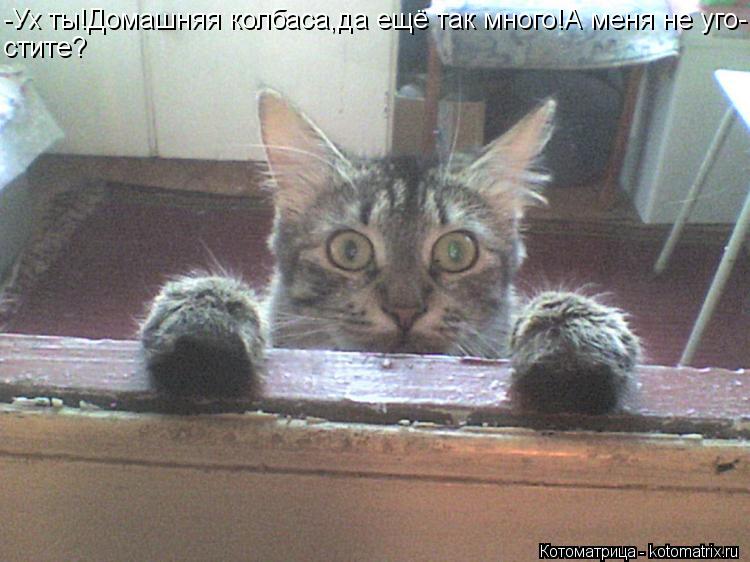 Котоматрица: -Ух ты!Домашняя колбаса,да ещё так много!А меня не уго- стите?