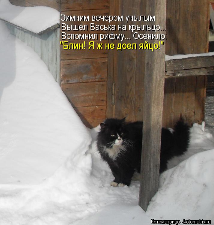 Котоматрица: Зимним вечером унылым Вышел Васька на крыльцо... Вспомнил рифму... Осенило: "Блин! Я ж не доел яйцо!"