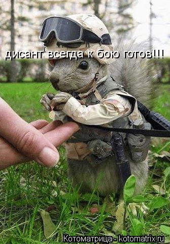 дисант всегда к бою готов!!!... Котоматрица: дисант всегда к бою готов!!!