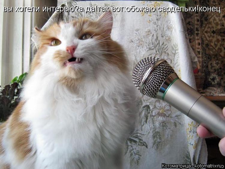 вы хотели интервю?а да!так вот:обожаю сардельки!конец... Котоматрица: вы хотели интервю?а да!так вот:обожаю сардельки!конец