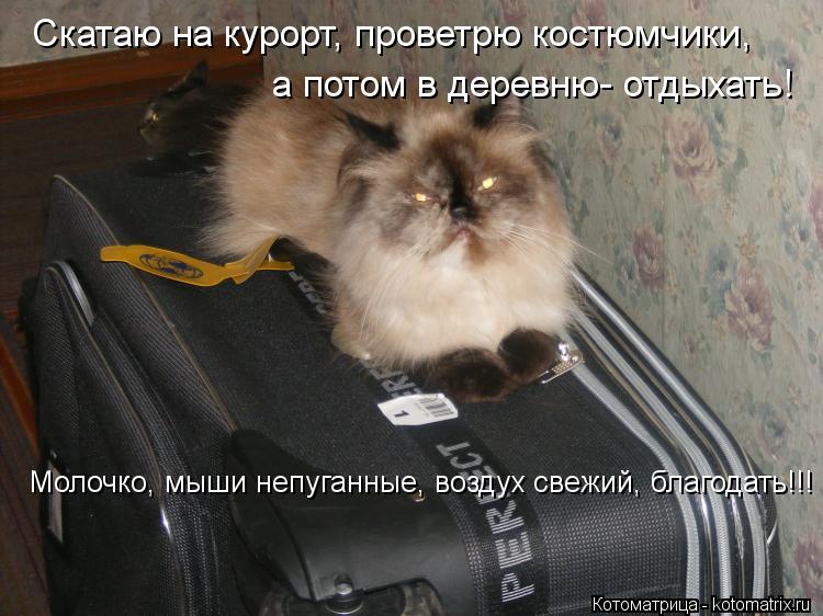 Котоматрица: Скатаю на курорт, проветрю костюмчики,   а потом в деревню- отдыхать! Молочко, мыши непуганные, воздух свежий, благодать!!!