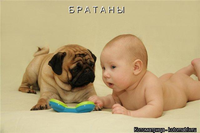 Котоматрица: Б Р А Т А Н Ы