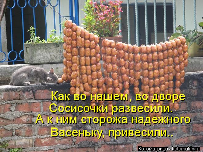 Котоматрица: Как во нашем, во дворе Сосисочки развесили. А к ним сторожа надежного Васеньку, привесили..