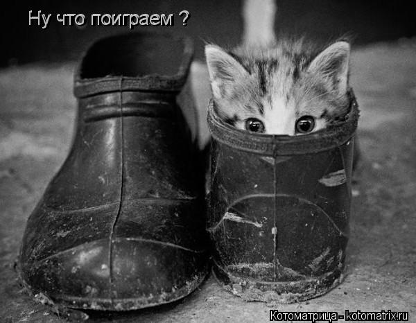 Котоматрица: Ну что поиграем ? Ну что поиграем ?