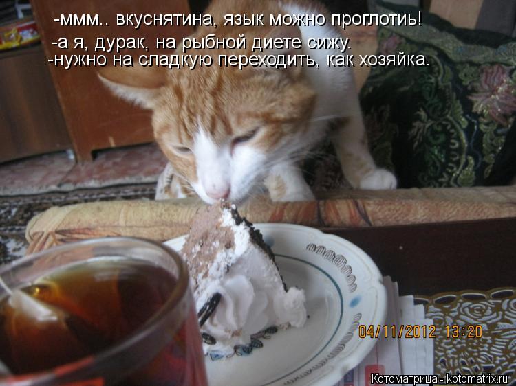 Котоматрица: -ммм.. вкуснятина, язык можно проглотиь! -нужно на сладкую переходить, как хозяйка. -а я, дурак, на рыбной диете сижу.