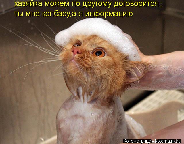 Котоматрица: хазяйка можем по другому договорится хазяйка можем по другому договорится : ты мне колбасу,а я информацию