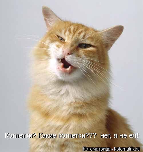 Котоматрица: Котлетки? Какие котлетки???  нет, я не ел!