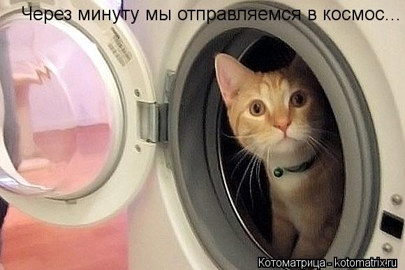 Котоматрица: Через минуту мы отправляемся в космос...