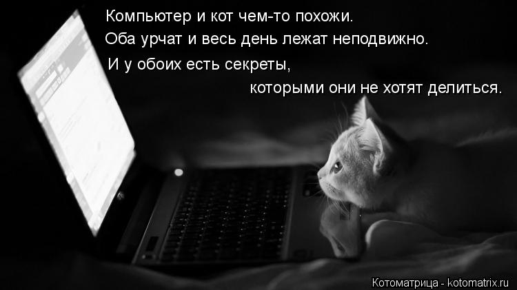 Котоматрица: Компьютер и кот чем-то похожи. Оба урчат и весь день лежат неподвижно. И у обоих есть секреты, которыми они не хотят делиться.