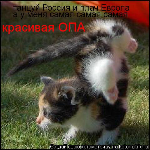 Котоматрица: танцуй Россия и плач Европа а у меня самая самая самая красивая ОПА