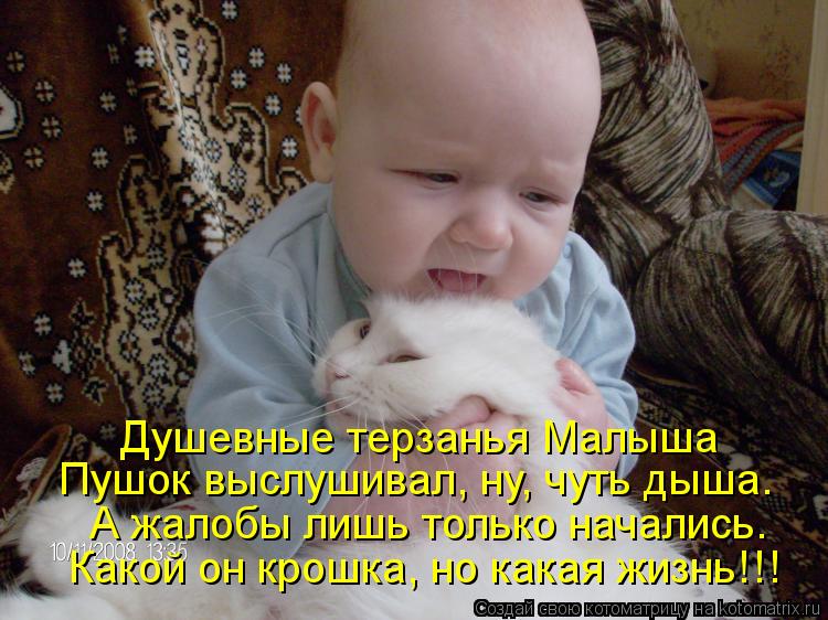 Котоматрица: Душевные терзанья Малыша Пушок выслушивал, ну, чуть дыша. А жалобы лишь только начались. Какой он крошка, но какая жизнь!!!