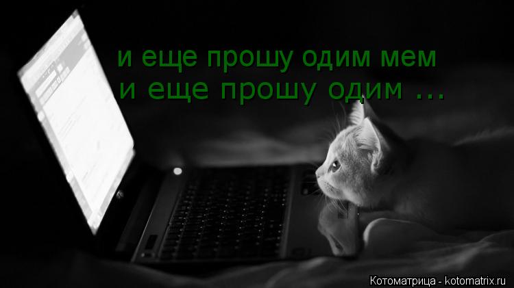 Котоматрица: и еще прошу одим мем и еще прошу одим ...