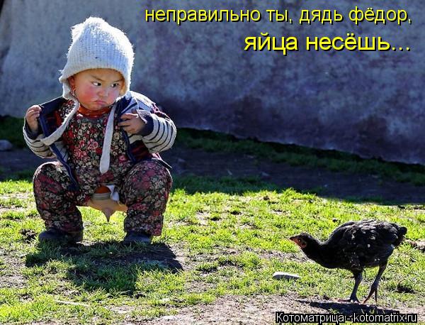 неправильно ты, дядь фёдор, яйца несёшь...... Котоматрица: неправильно ты, дядь фёдор, яйца несёшь...