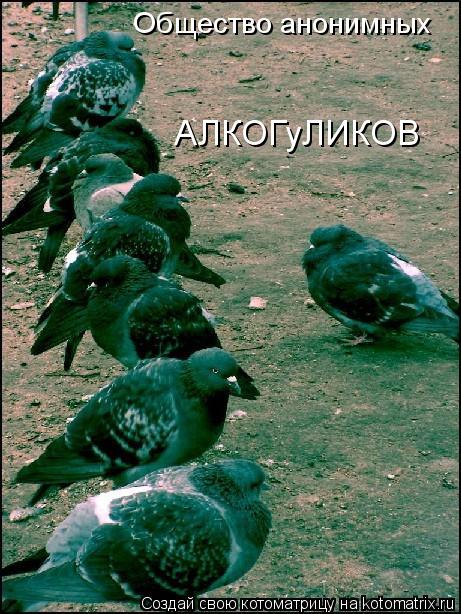 Котоматрица: АЛКОГуЛИКОВ Общество анонимных
