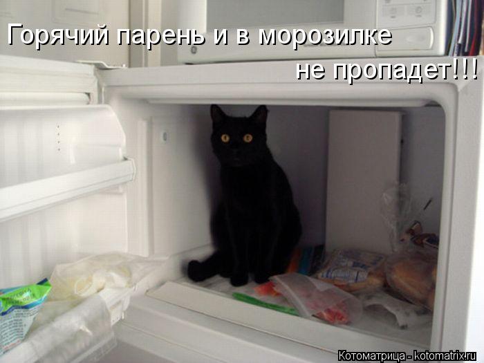 Котоматрица: Горячий парень и в морозилке  не пропадет!!!