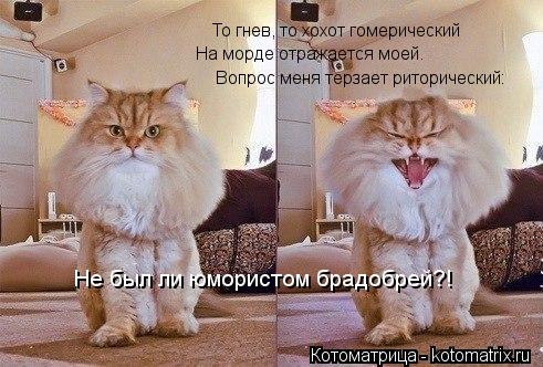 То гнев, то хохот гомерический Вопрос меня терзает риторический: Не был ли юмористом брадобрей?! На м... Котоматрица: То гнев, то хохот гомерический Вопрос меня терзает риторический: Не был ли юмористом брадобрей?! На морде отражается моей.