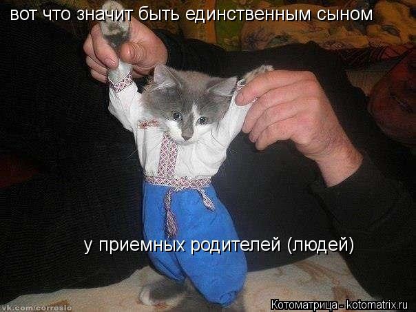 Котоматрица: вот что значит быть единственным сыном у приемных родителей (людей)