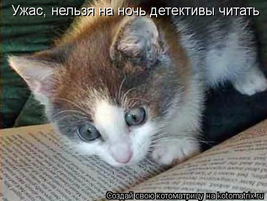 Ужас, нельзя на ночь детективы читать... Котоматрица: Ужас, нельзя на ночь детективы читать