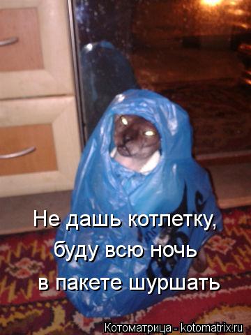 Котоматрица: Не дашь котлетку, буду всю ночь в пакете шуршать