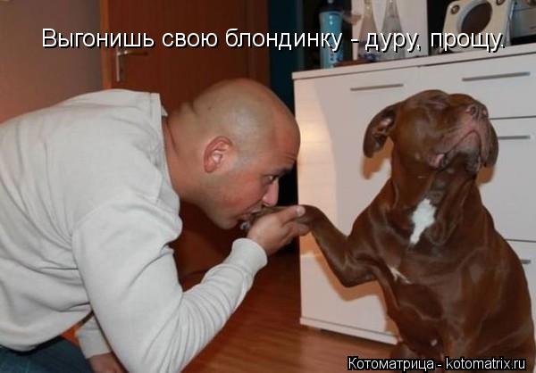 Котоматрица: Выгонишь свою блондинку - дуру, прощу.