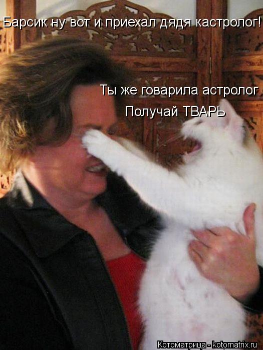 Котоматрица: Барсик ну вот и приехал дядя кастролог! Ты же говарила астролог Получай ТВАРЬ