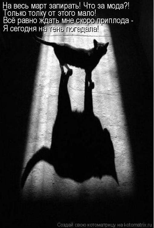 Котоматрица: На весь март запирать! Что за мода?! Только толку от этого мало!  Всё равно ждать мне скоро приплода - Я сегодня на тень погадала!
