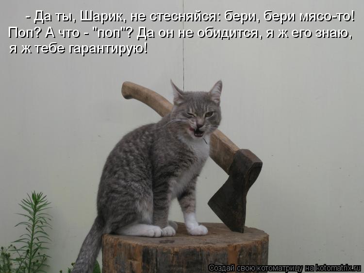 Котоматрица: - Да ты, Шарик, не стесняйся: бери, бери мясо-то! я ж тебе гарантирую! Поп? А что - "поп"? Да он не обидится, я ж его знаю,