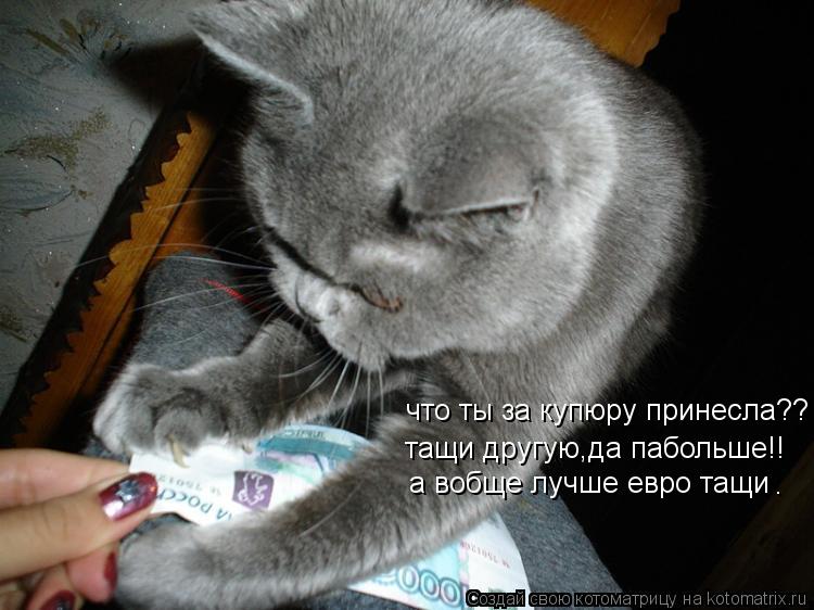 Котоматрица: что ты за купюру принесла?? тащи другую,да пабольше!! а вобще лучше евро тащи .